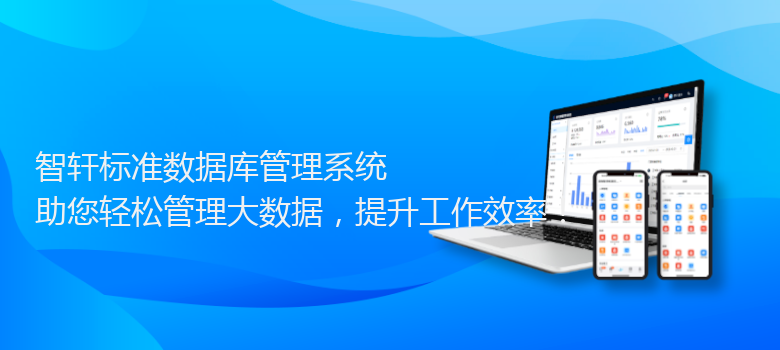 标准数据库管理系统